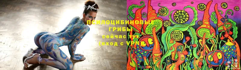 Галлюциногенные грибы Cubensis  где купить   МЕГА tor  даркнет клад  Кызыл 